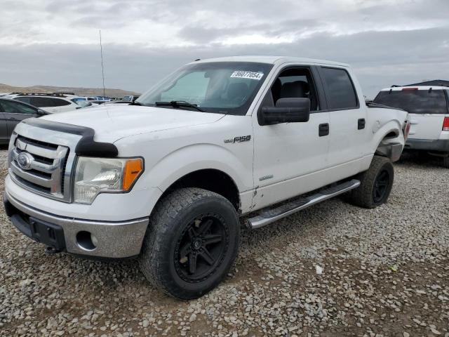 FORD F150 SUPER 2012 with VIN 1FTFW1ET9CFA49135 - Photo from auction