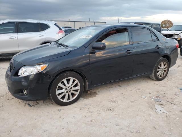 TOYOTA COROLLA BA 2010 with VIN 1NXBU4EEXAZ329643 - Photo from auction