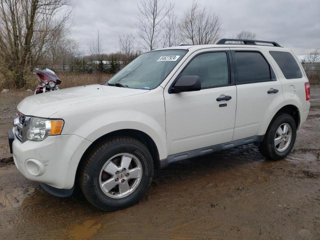 FORD ESCAPE XLT 2011 with VIN 1FMCU0DG0BKC61446 - Photo from auction
