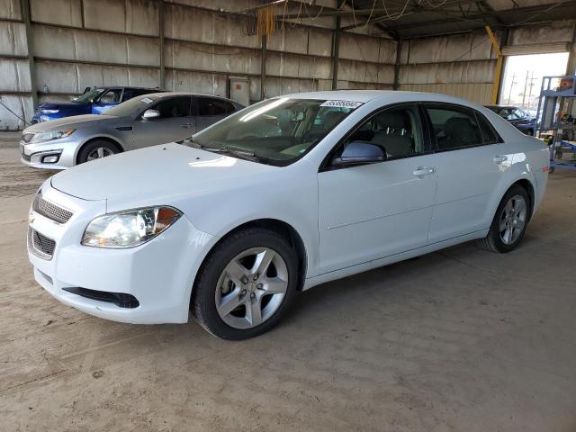 CHEVROLET MALIBU LS 2012 with VIN 1G1ZB5E07CF246867 - Photo from auction