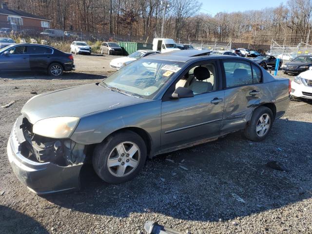 CHEVROLET MALIBU LS 2004 with VIN 1G1ZT54864F153649 - Photo from auction