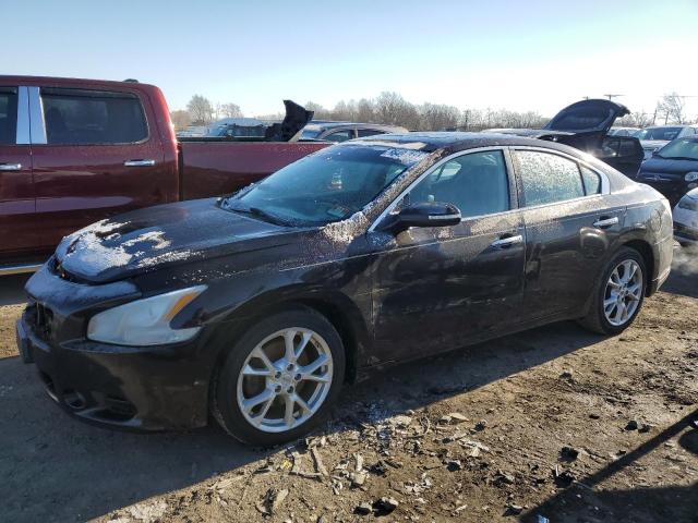 Zdjęcie 1 z aukcji – 2013 NISSAN MAXIMA S z VIN 1N4AA5AP5DC826072
