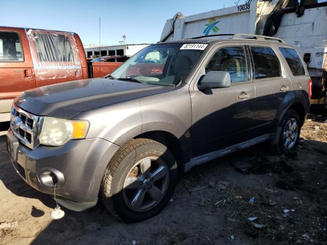 Photo 1 from auction – 2009 FORD ESCAPE XLT with VIN 1FMCU03769KB79278