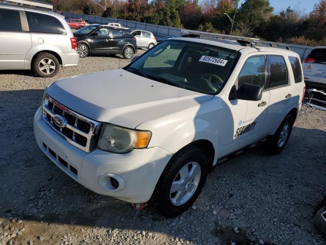 FORD ESCAPE XLS 2011 with VIN 1FMCU0C79BKB51142 - Photo from auction
