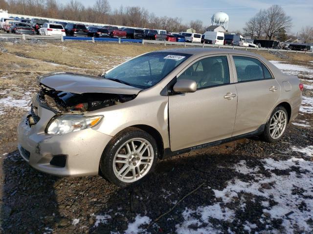 TOYOTA COROLLA BA 2010 with VIN 2T1BU4EE6AC245420 - Photo from auction