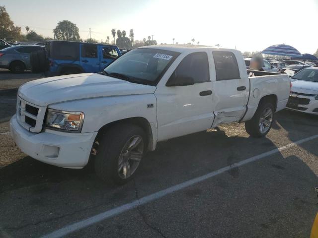 DODGE DAKOTA SLT 2011 with VIN 1D7RE3GP0BS602729 - Photo from auction