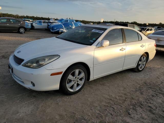 LEXUS ES 330 2005 with VIN JTHBA30G755089031 - Photo from auction