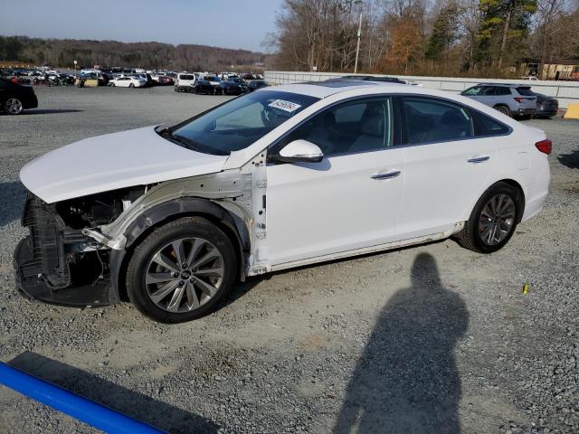 HYUNDAI SONATA SPO 2016 with VIN 5NPE34AF5GH361597 - Photo from auction