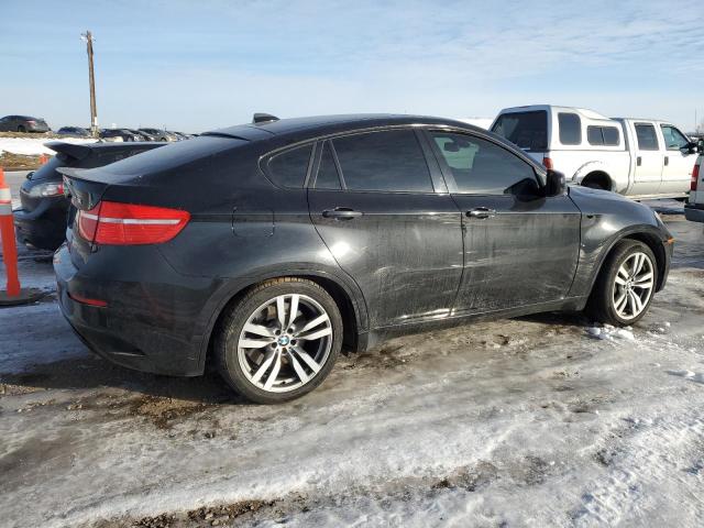 Photo 3 from auction – 2010 BMW X6 M with VIN 5YMGZ0C57ALK13322