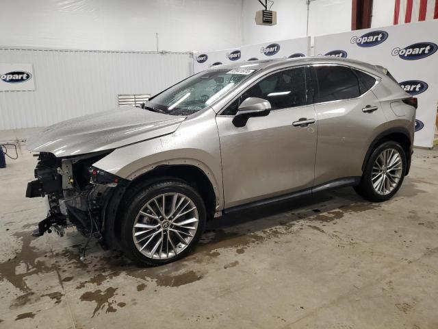 LEXUS NX 350H 2022 with VIN 2T2GKCEZ7NC007876 - Photo from auction