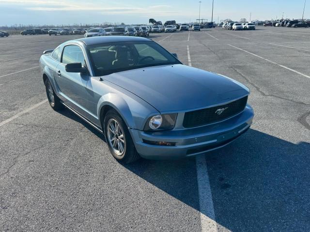 Photo 1 from auction – 2005 FORD MUSTANG with VIN 1ZVFT80N855194392