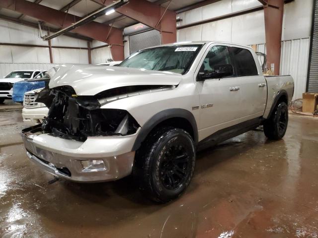 DODGE RAM 1500 2009 with VIN 1D3HV13T59J505434 - Photo from auction