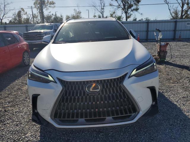 Photo 5 from auction – 2025 LEXUS NX 250 PRE with VIN 2T2GDCAZ1SC016522