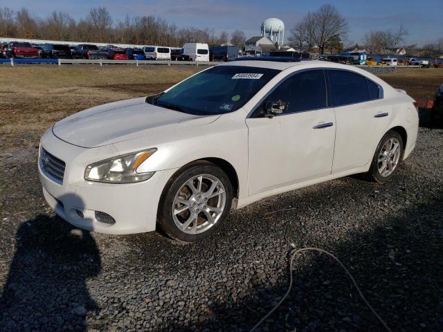 NISSAN MAXIMA S 2009 with VIN 1N4AA51E99C829594 - Photo from auction