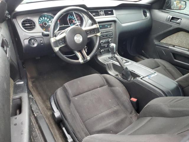 Photo 8 from auction – 2013 FORD MUSTANG with VIN 1ZVBP8AM9D5203205