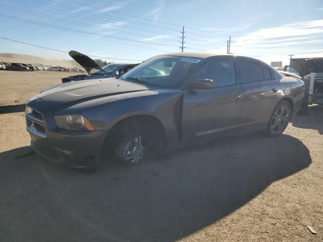 DODGE CHARGER R/ 2013 with VIN 2C3CDXDT0DH681586 - Photo from auction