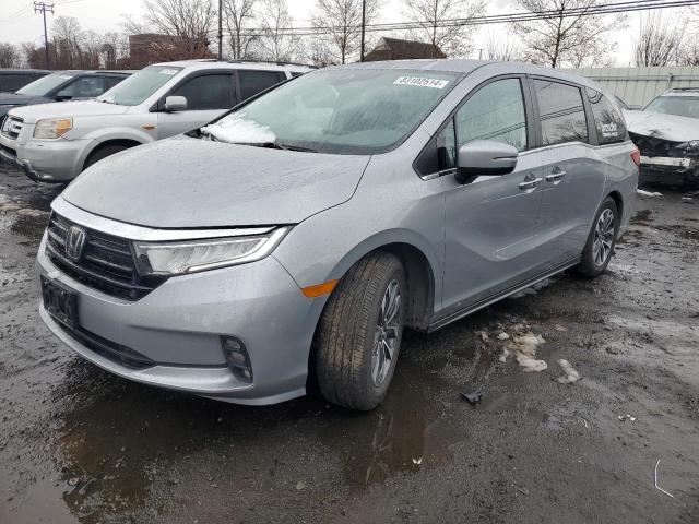 HONDA ODYSSEY EX 2023 with VIN 5FNRL6H62PB078401 - Photo from auction