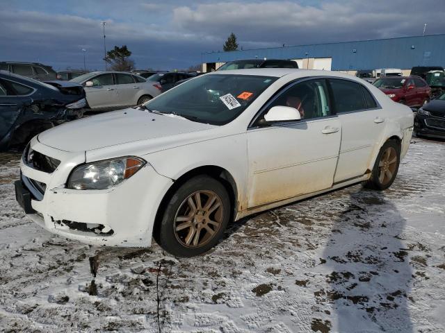 CHEVROLET MALIBU 1LT 2011 with VIN 1G1ZC5E19BF105044 - Photo from auction