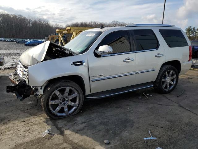 CADILLAC ESCALADE L 2010 with VIN 1GYUKBEF6AR166762 - Photo from auction