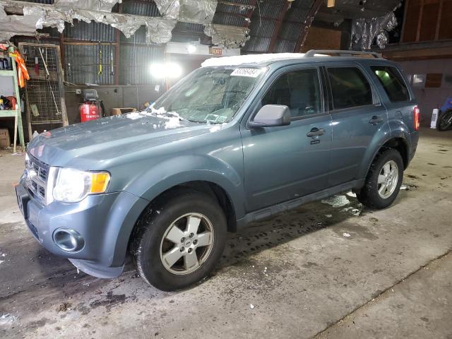 FORD ESCAPE XLT 2011 with VIN 1FMCU0D79BKB43265 - Photo from auction