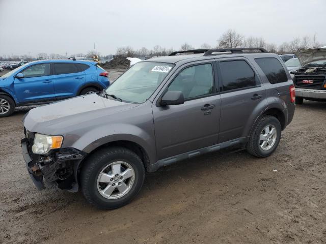 Photo 1 from auction – 2010 FORD ESCAPE XLT with VIN 1FMCU0DG0AKC57475