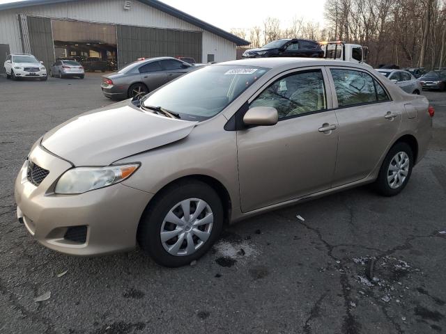 TOYOTA COROLLA BA 2010 with VIN 2T1BU4EE9AC300443 - Photo from auction