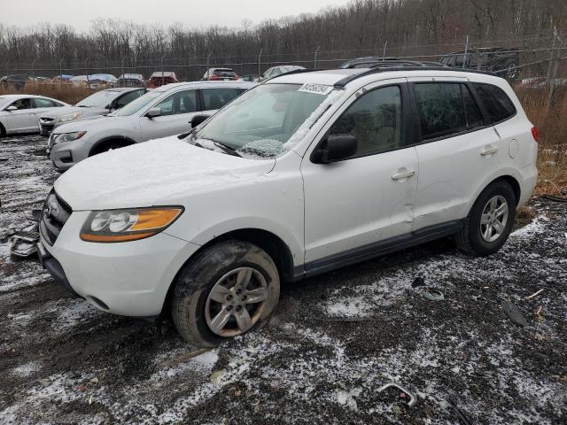 HYUNDAI SANTA FE G 2009 with VIN 5NMSG13D09H310221 - Photo from auction