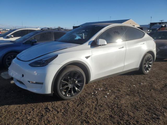 TESLA MODEL Y 2023 with VIN 7SAYGDEE2PF908183 - Photo from auction