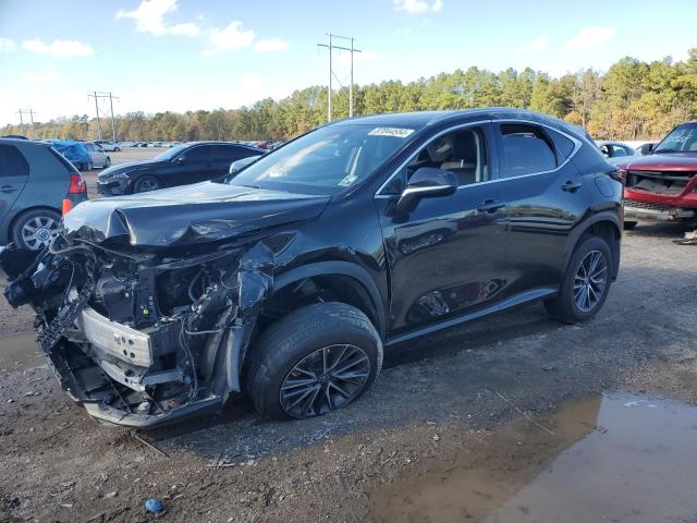 LEXUS NX 250 PRE 2024 with VIN 2T2GDCAZ8RC014499 - Photo from auction