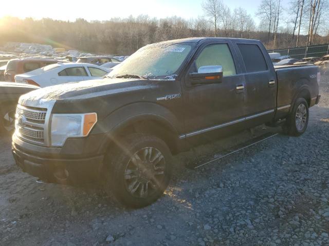 FORD F150 SUPER 2010 with VIN 1FTFW1EV2AFB44117 - Photo from auction