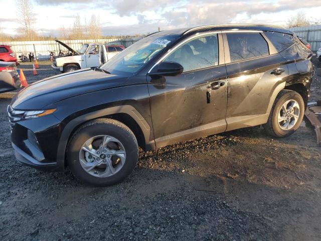 HYUNDAI TUCSON SEL 2024 with VIN 5NMJBCDE9RH400545 - Photo from auction