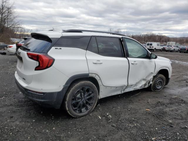 Photo 3 from auction – 2020 GMC TERRAIN SL with VIN 3GKALTEV2LL303665