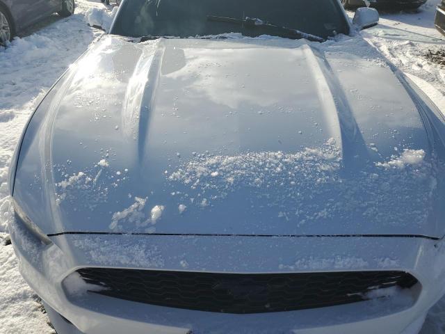 Photo 11 from auction – 2017 FORD MUSTANG with VIN 1FA6P8TH8H5219766