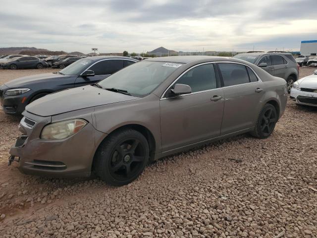 CHEVROLET MALIBU 1LT 2010 with VIN 1G1ZC5EB7AF185886 - Photo from auction