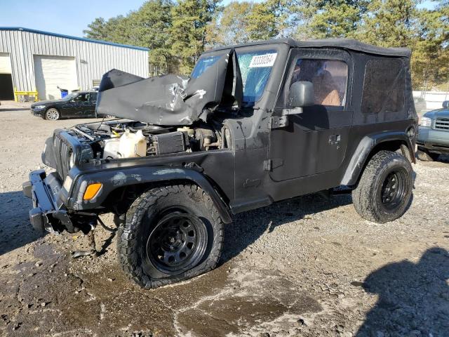 JEEP WRANGLER / 1998 with VIN 1J4FY19S3WP717273 - Photo from auction