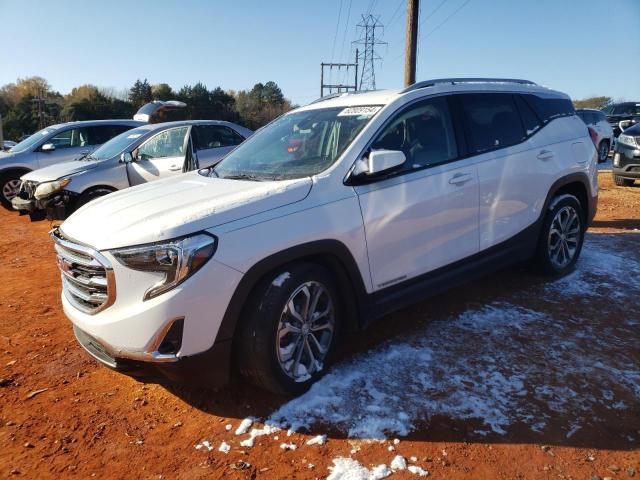 GMC TERRAIN SL 2020 with VIN 3GKALPEV6LL122995 - Photo from auction