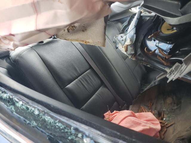 Photo 10 from auction – 2010 HONDA ACCORD EXL with VIN 1HGCS2A83AA001728