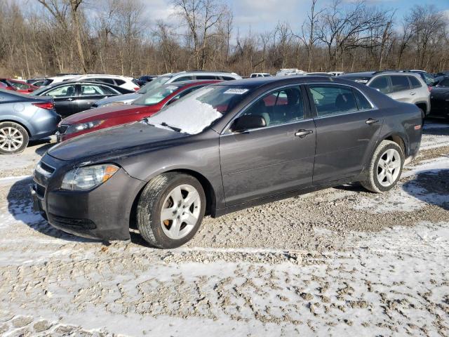 CHEVROLET MALIBU LS 2012 with VIN 1G1ZB5E06CF329075 - Photo from auction