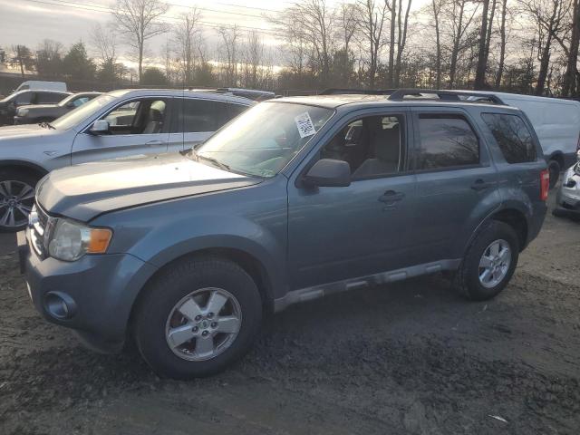 FORD ESCAPE XLT 2010 with VIN 1FMCU9DG1AKD09801 - Photo from auction