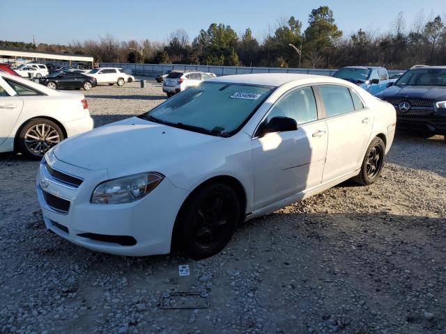 CHEVROLET MALIBU LS 2011 with VIN 1G1ZA5EU4BF342377 - Photo from auction