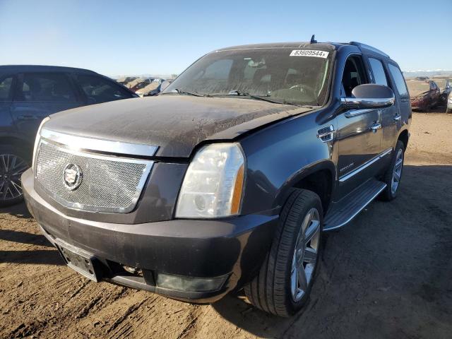CADILLAC ESCALADE 2010 with VIN 1GYUKAEF3AR136225 - Photo from auction