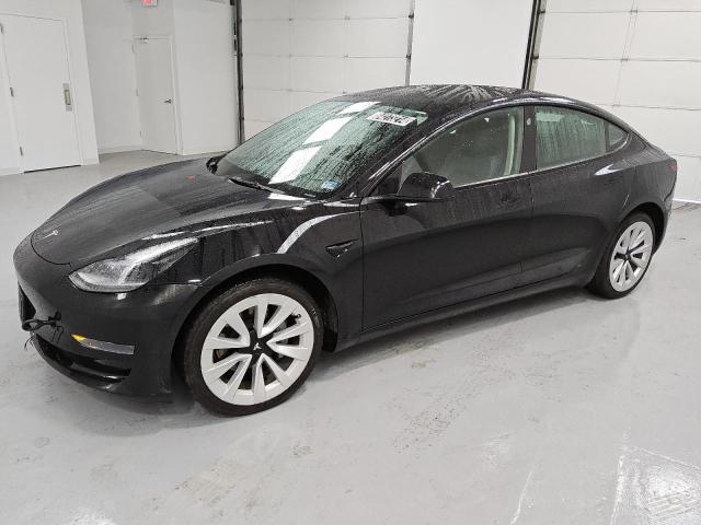 TESLA MODEL 3 2022 with VIN 5YJ3E1EA0NF290366 - Photo from auction
