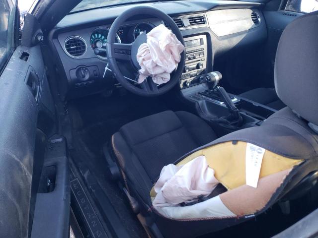 Photo 8 from auction – 2011 FORD MUSTANG with VIN 1ZVBP8AM8B5163034