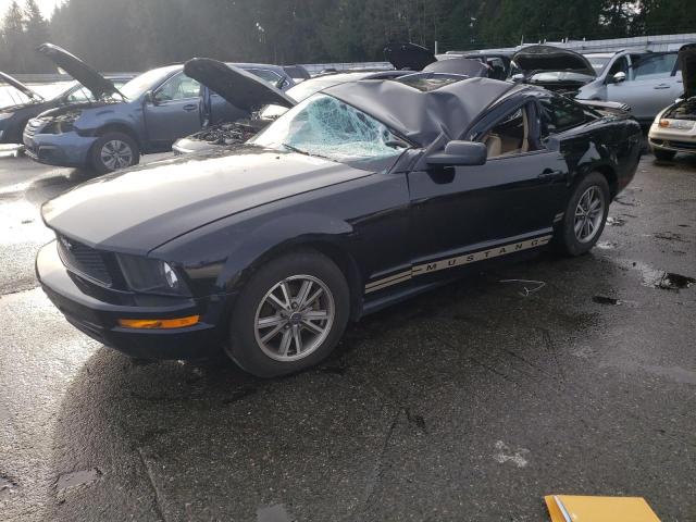 Photo 1 from auction – 2005 FORD MUSTANG with VIN 1ZVFT80N155136141