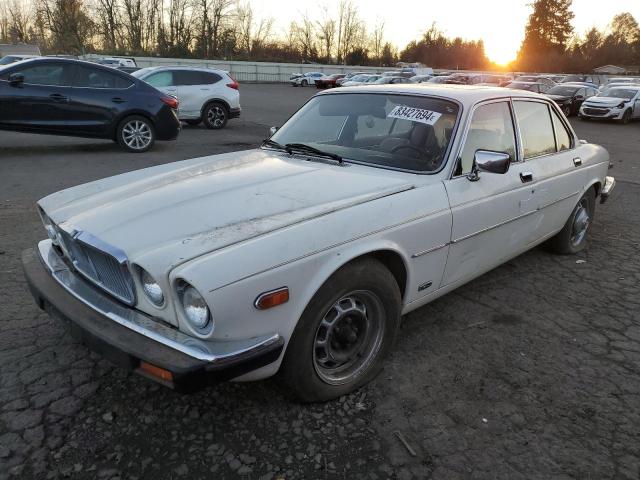 JAGUAR XJ6 1983 with VIN SAJAV1347DC356333 - Photo from auction