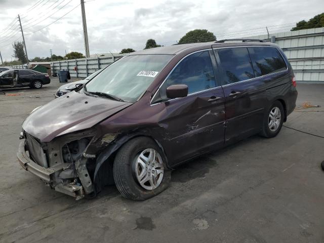 HONDA ODYSSEY EX 2007 with VIN 5FNRL38427B057187 - Photo from auction