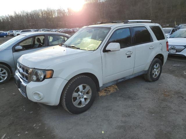 FORD ESCAPE 2009 with VIN 1FMCU94G09KC13072 - Photo from auction