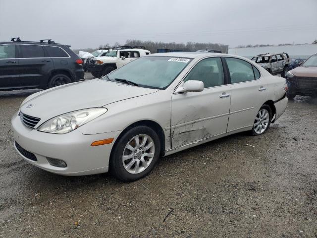 LEXUS ES 300 2002 with VIN JTHBF30G920051696 - Photo from auction