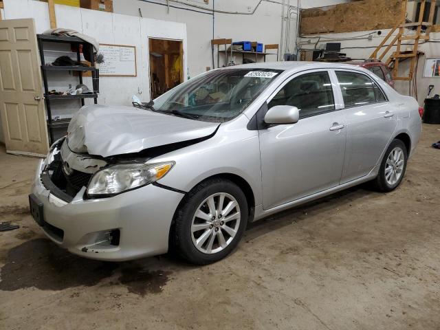 TOYOTA COROLLA BA 2009 with VIN JTDBL40E99J030401 - Photo from auction