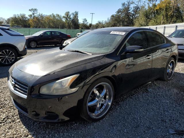 NISSAN MAXIMA S 2009 with VIN 1N4AA51E89C814309 - Photo from auction